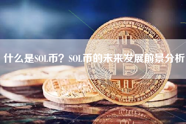 什么是SOL币？SOL币的未来发展前景分析