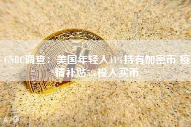 CNBC调查：美国年轻人11%持有加密币 疫情补贴5%投入买币